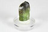 Olivine Peridot Crystal with Ludwigite Inclusions - Pakistan #183948-1